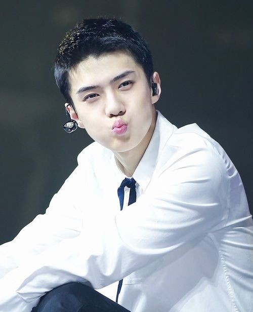 sehun (2/3)