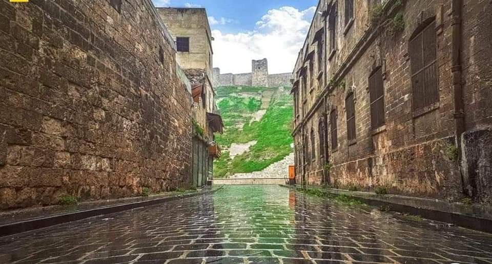 S{أحمد الحياني}Y tweet media