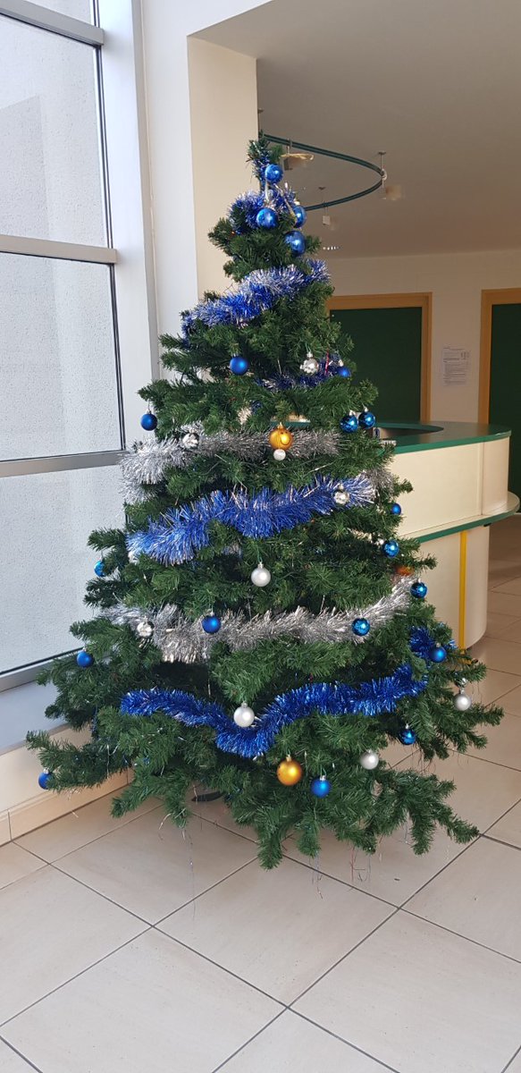 La magie des fêtes s'installe chez Alkern, au sein de notre siège social à Harnes (62)! 

#alkern #siège #nöel #sapin #fête #bâtiment #aménagementextérieur #travauxpublics