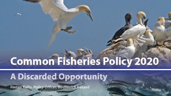 This week  @McConalogue  @VSinkevicius will meet to discuss fishing quotas for 2021. This years talks will be held in the context of  #Brexit & the EUs failure to  #EndOverfishing. More must be done to manage fisheries sustainably & protect biodiversity  https://birdwatchireland.ie/common-fisheries-policy-2020-a-discarded-opportunity/