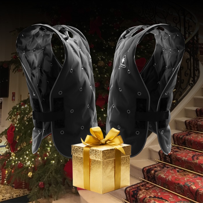 exotogg's tweet photo. There are still a few days left to grab our Christmas Bundle and have it UK-delivered in time to sit under the Christmas tree! 🎄
A pair of Exotoggs and a Secret Santa FREE GIFT 🎁for a poultry (geddit?) £169.75 🍗 

Have a Warm &amp; Happy Christmas, all!! 🎅
https://t.co/zjxcEKuLmB https://t.co/iPPqwamdyN