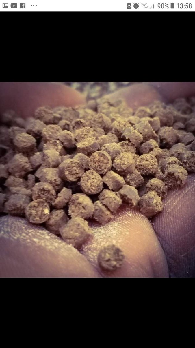 AQUAREIGNINDUS3's tweet photo. Quelques caractéristiques de notre aliment 

-Bonne flottaison
- La digestibilité, les poissons doivent bien digérer les aliments que vous leur donnez.
- l'optimisation du taux de protéines,
- Bon équilibre des oligo-éléments,  

- Coût accessible financièrement.

694600175 https://t.co/rXaGgfKlEC