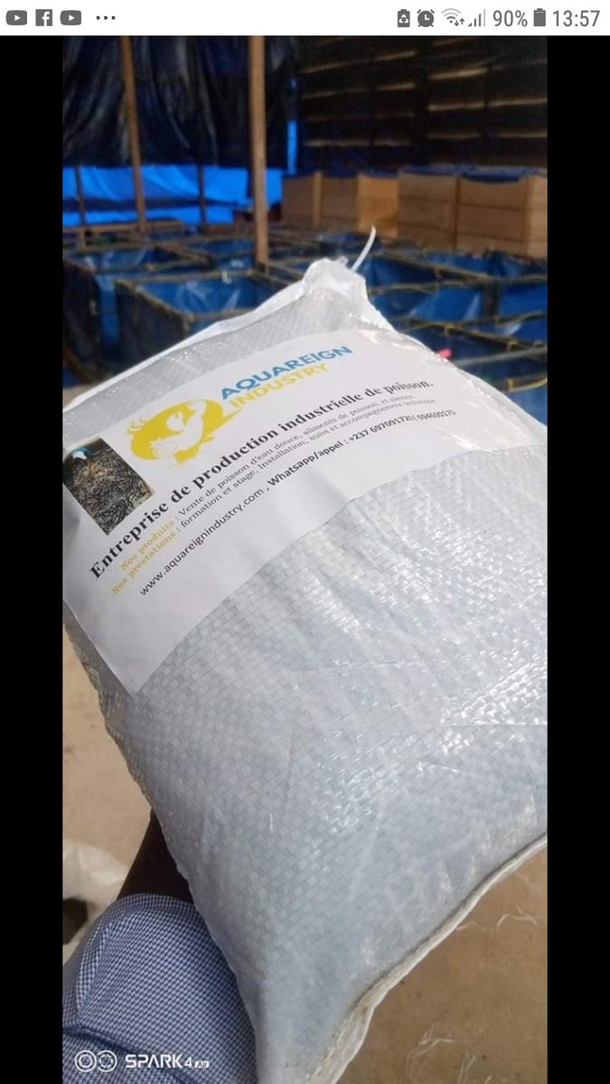 AQUAREIGNINDUS3's tweet photo. Quelques caractéristiques de notre aliment 

-Bonne flottaison
- La digestibilité, les poissons doivent bien digérer les aliments que vous leur donnez.
- l'optimisation du taux de protéines,
- Bon équilibre des oligo-éléments,  

- Coût accessible financièrement.

694600175 https://t.co/rXaGgfKlEC