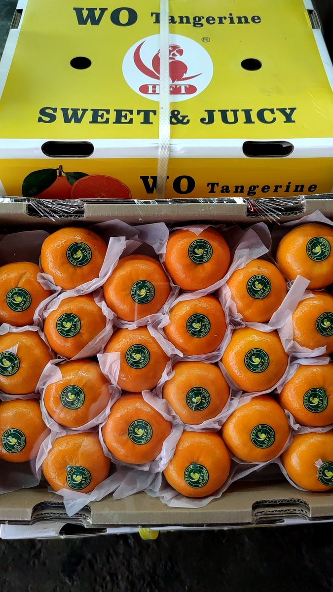 Nuj53886874's tweet photo. #ส้มแมนดาริน ไต้หวัน 
หวานสดใหม่ทุกวัน
ลังละ 7 กก
พร้อมส่งทั่วไทย
ในราคา 750 บาท ฟรีส่งkerry จร้า

🤳/Line 0635962428 https://t.co/tgNbyqaDor
