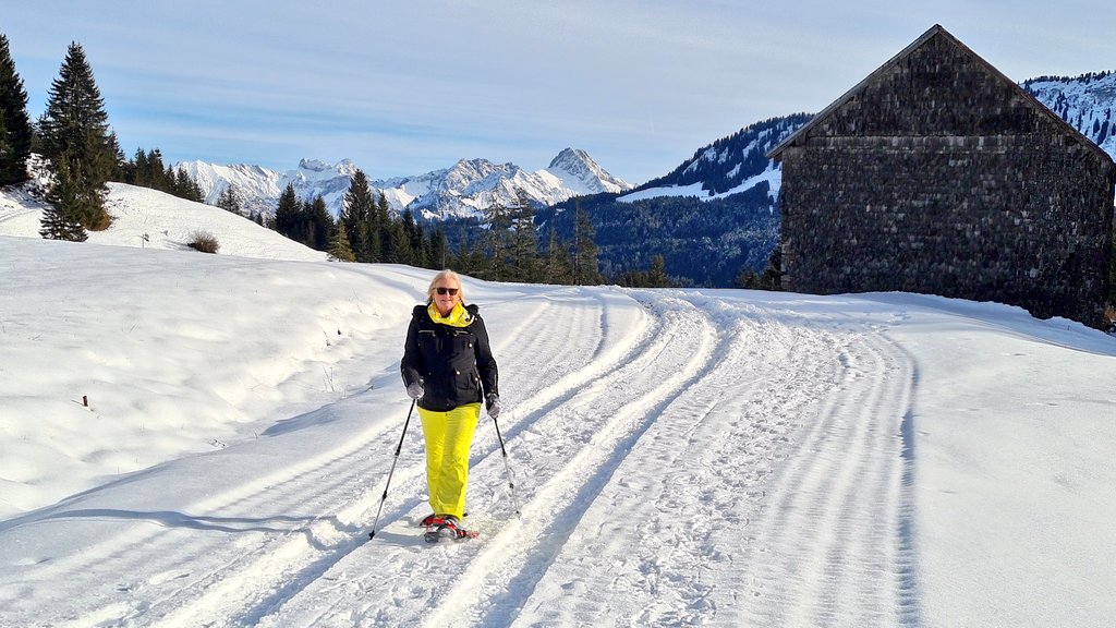 Toch een beetje wintersportgevoel:
Schneeschuhwandern 

Vandaag bij de Hörnlepass
Kleinwalsertal Oostenrijk