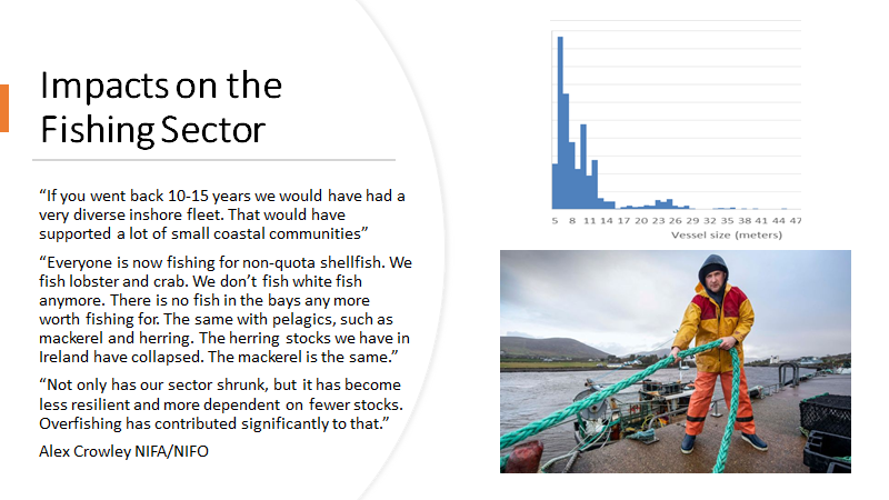 The decision to close commercial herring fisheries while necessary, is disastrous none the less for effected coastal communities, who are dependent on the jobs created either directly or indirectly in fishing and processing. Sadly this was all predictable.
