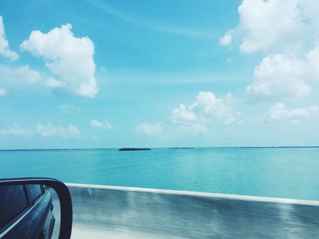 Liza Dixon ⚡️ tweet media