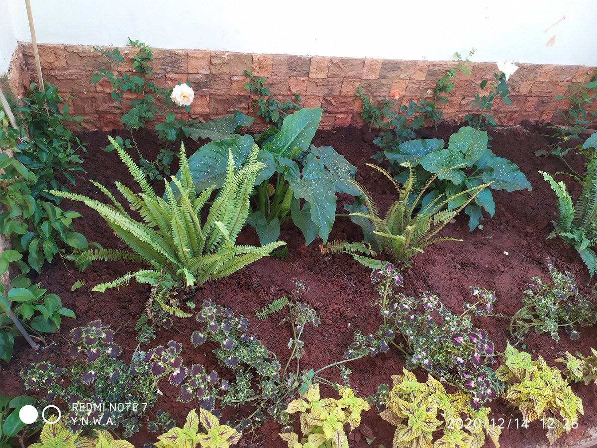 Color coordinated
#GCL