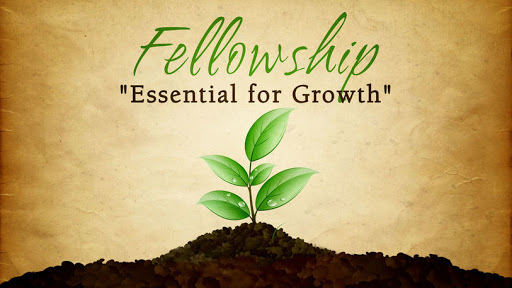 WorshipShack's tweet photo. In this time of lockdowns, we have been led to bring back the #Worshipshack a place to gather online for #worship #Prayer #fellowship and #study of the #Word of #God. https://t.co/0BCjkG4kcv we will have the #community forum built out today where we can connect with each other https://t.co/BEtSiKz7Lc