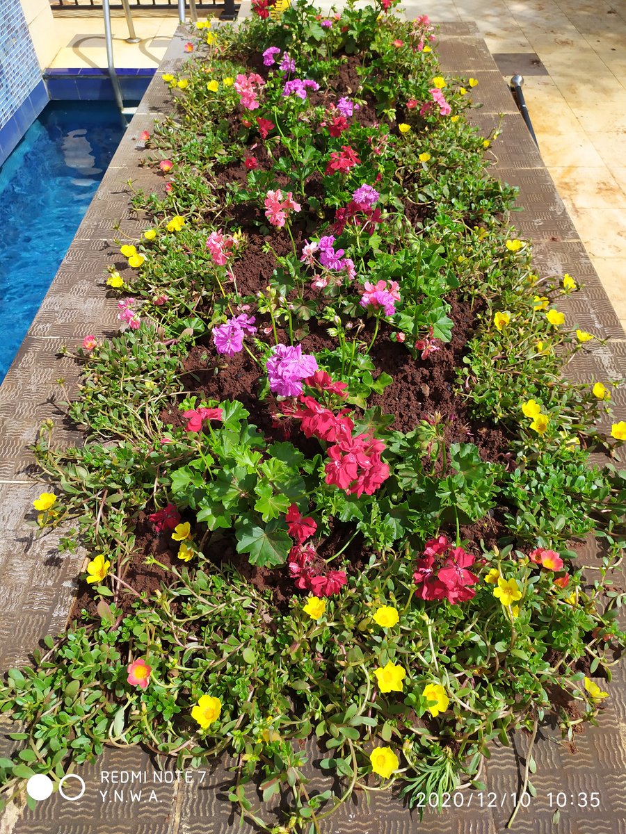 Colors are smiles of Nature
Flowers are Happy Things
#GCL