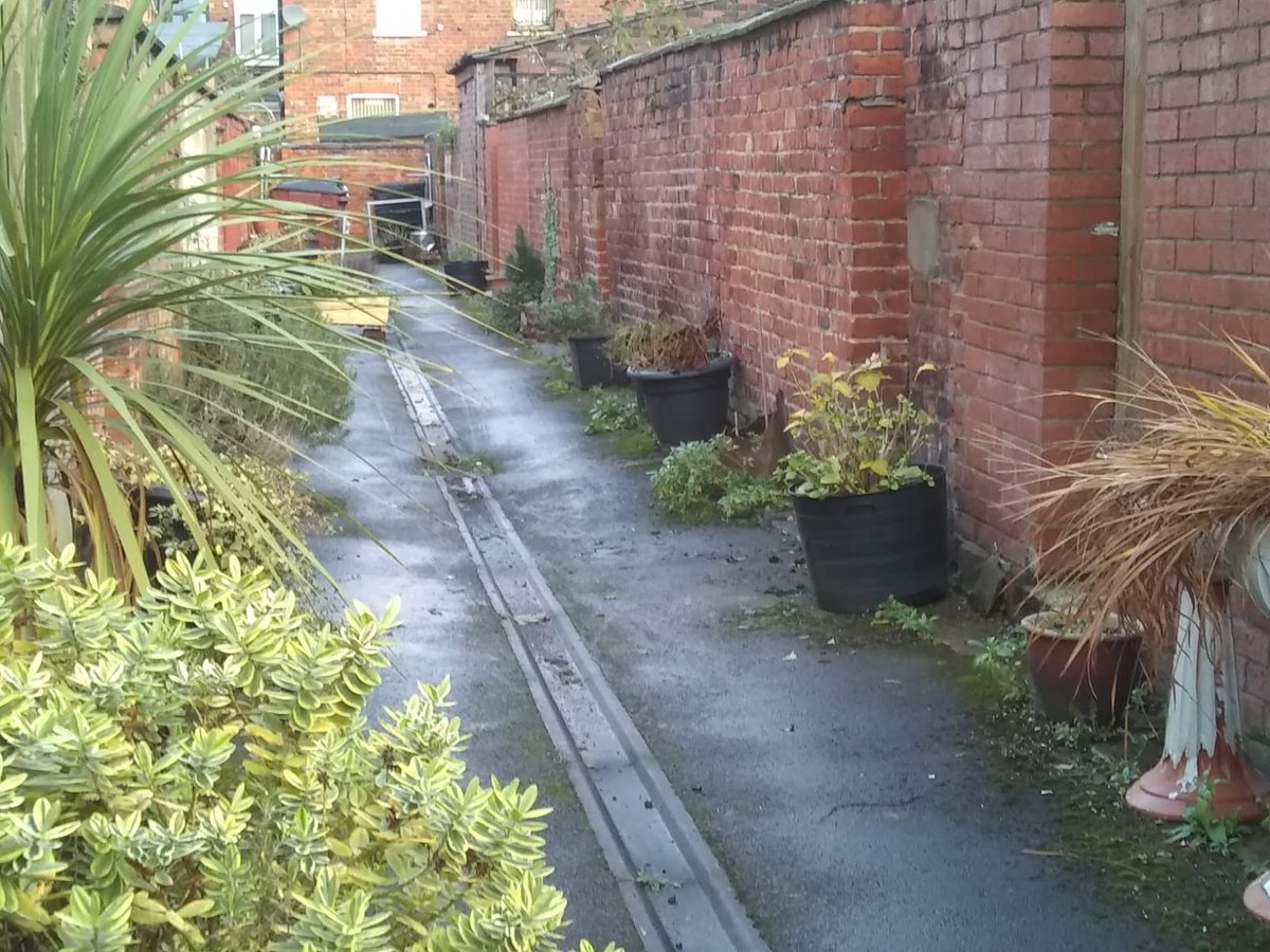 Looks like there's been a major amount of good neighbourly clearing up in this alley. It looks wonderful. Hope it was good being outdoors too. Thank you to all.