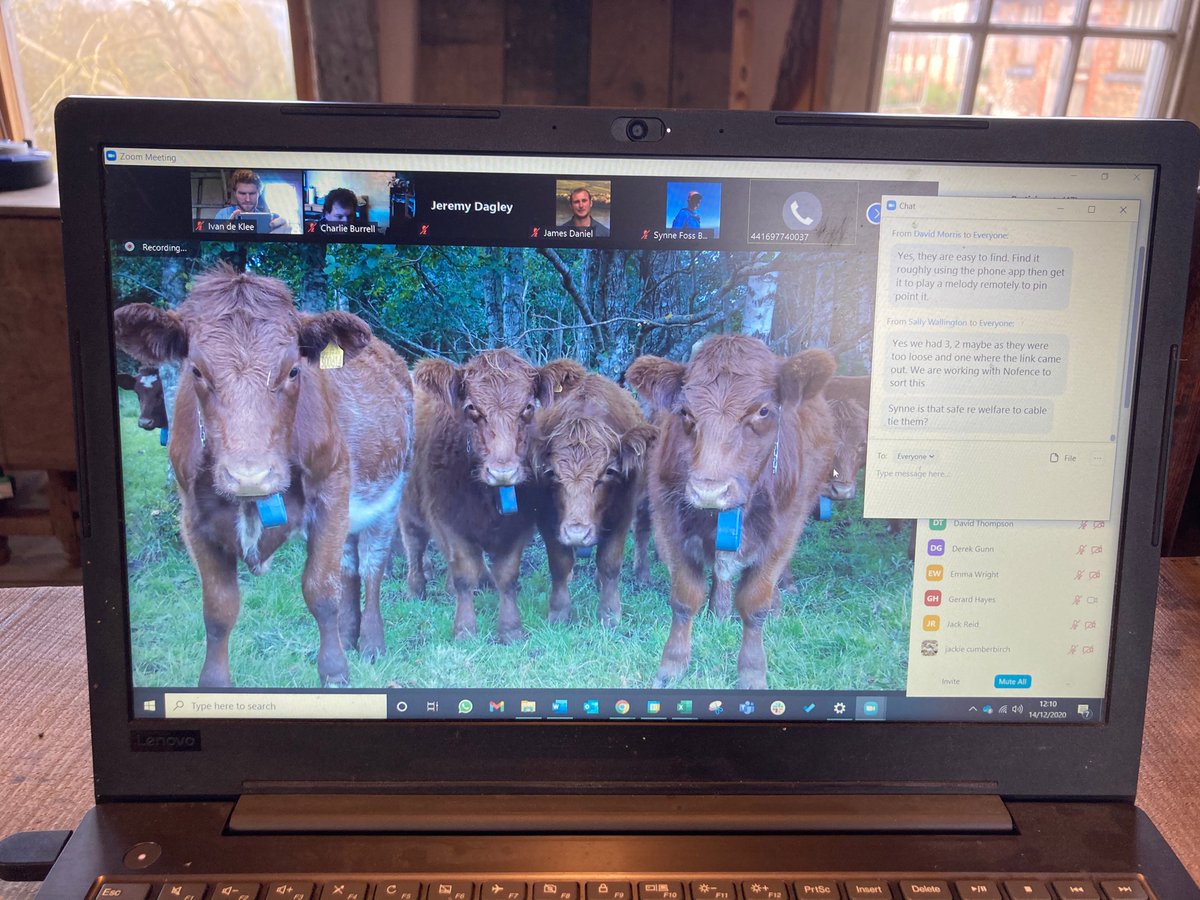 Hosted amazing webinar this morning on invisible fencing. Is this the start of a revolution? @CoLEppingForest @PrecisionGraze @NorthPennAONB @kneppcastle @Nofence_AS