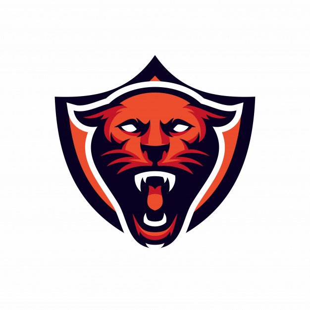 Pantera e-Sports 🇦🇷 tweet media
