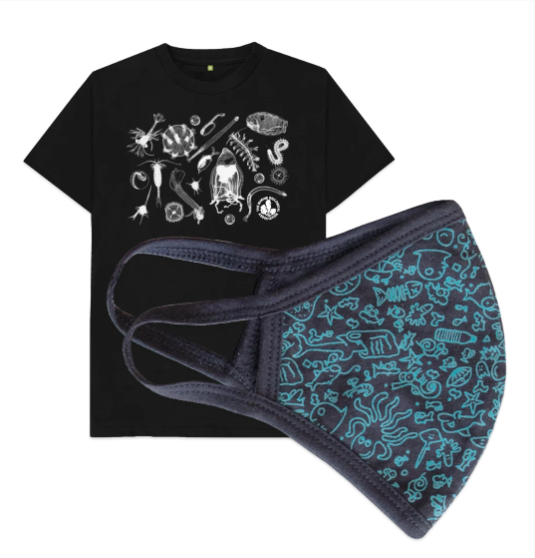 thembauk's tweet photo. Have you discovered our great value bundles yet? These make fantastic gifts, choose from  t-shirts, hoodies, tote bags and cotton face coverings, all made from 100% organic cotton. https://t.co/eqIHkGSZkp Order by 20th Dec for guaranteed UK delivery! https://t.co/m0tqnn9yZg