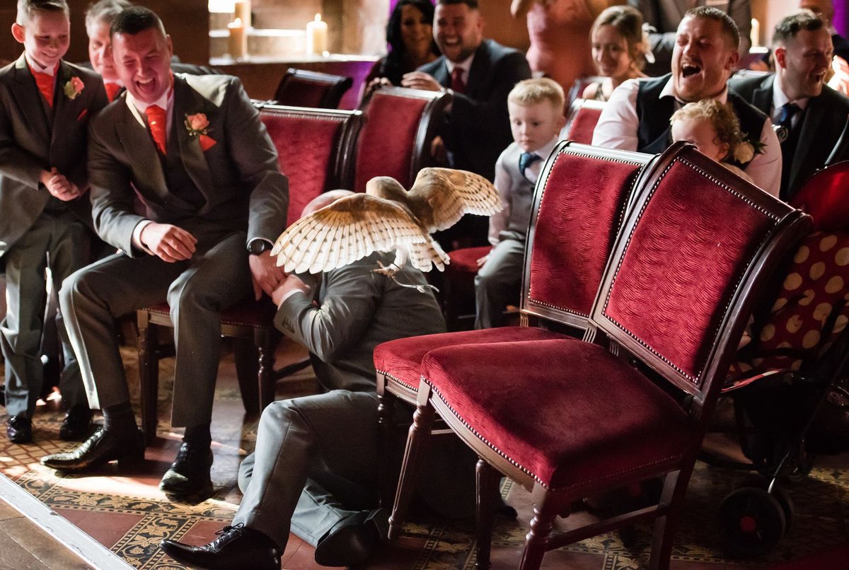 So many questions about this ACE shot in <a href="/GBPhotoAwards/">🇬🇧British Photography Awards</a> shortlist. Did the bride and groom not know their pal was terrified of birds? How did the owl know exactly who to go for? Are any of them still friends? Top work <a href="/Staceyoliver13/">Stacey Oliver Photos</a> 👏 britishphotographyawards.org/2021-shortlist…
