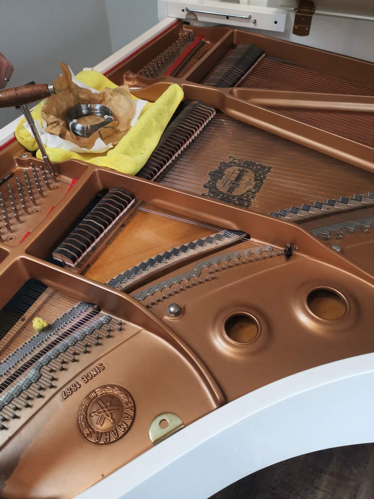 Elton's in need of a serious MOT... 😲

#pianomusic #pianoplayer #pianoforte #pianolove #instapiano #pianolover #pianogram #classicalpiano #pianistsofinstagram #yamahapiano #musicianslife #musican #pianotuning #pianorepair