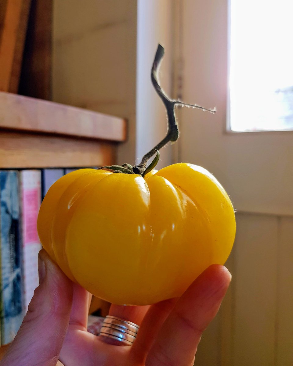 Caroline Hennessy tweet media