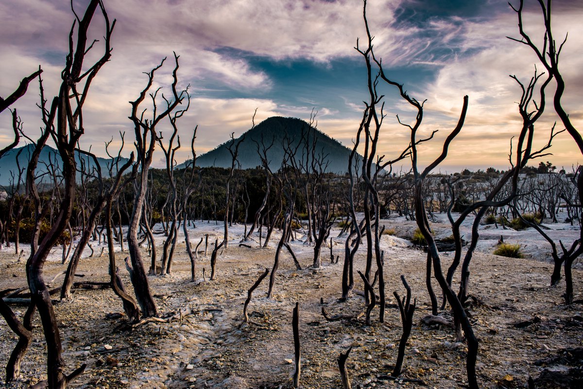 WegoID's tweet photo. Di antara 4 gunung ini, mana yang sudah pernah kamu daki?
1. Gunung Rinjani 
2. Gunung Prau 
3. Gunung Ijen 
4. Gunung Papandayan https://t.co/nUk0ZvB1Sf