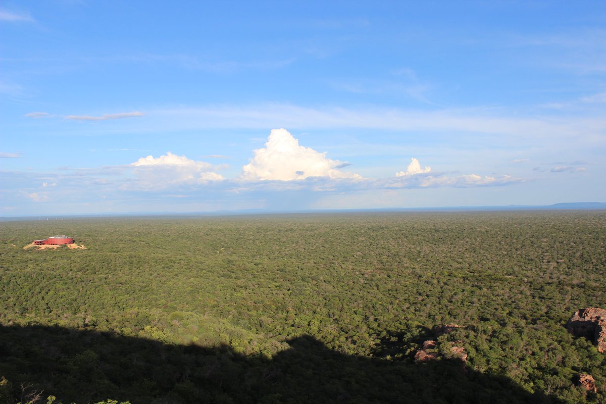Serra da Capivara uno de los parques naturales más impresionantes de Brasil, catalogado como Patrimonio de la Humanidad. Aquí es posible visitar yacimientos arqueológicos con sorprendentes pinturas rupestres.
