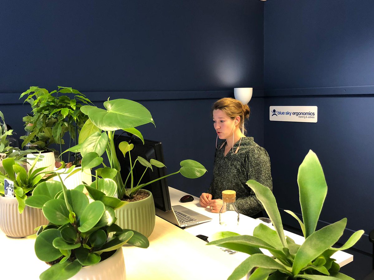 BlueSkyErgo's tweet image. &quot;Thuiswerkers, we moeten er iets mee..&quot; linkedin.com/pulse/thuiswer… via @LinkedIn