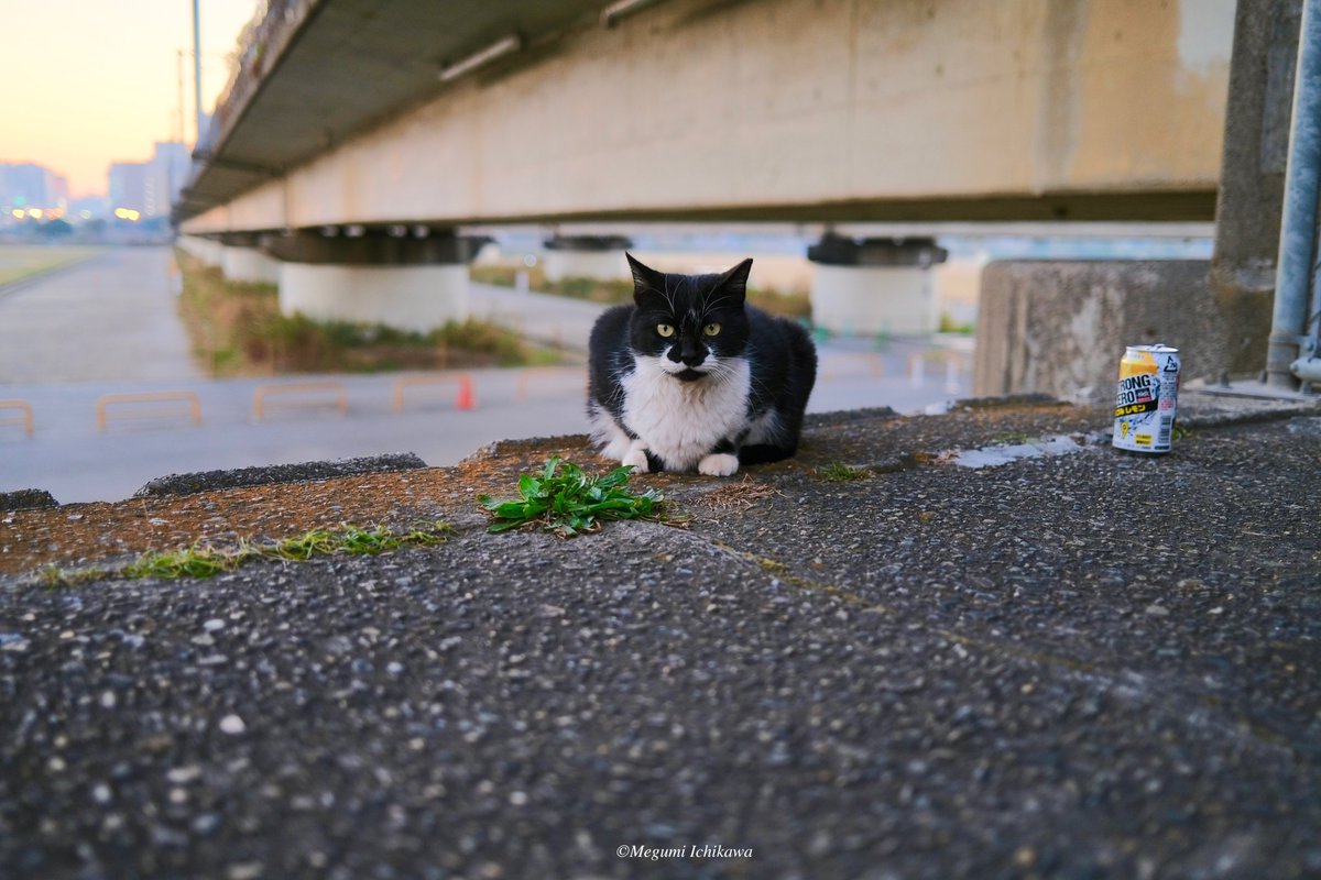 無条件に可愛い