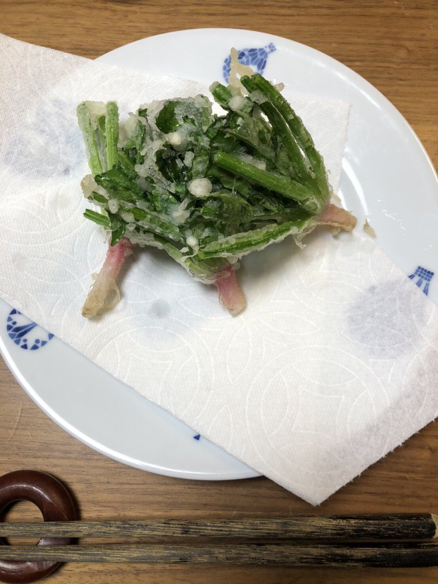 Team550 奥三河ほうれん草 Team550 Twitter Team550 奥三河ほうれん草 Team550 Twitter
