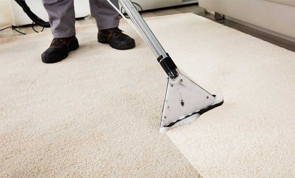 sescarpetclean's tweet photo. @CarpetMarks, a professional #carpetcleaning company which beliefs in providing exceptional service and give best solution to our clients. Get the best cleaners in #Melbourne, offer #carpet dry #cleaningservices. To know more, just read our blog at- https://t.co/X9Naljj5qn https://t.co/DOnSOePITS