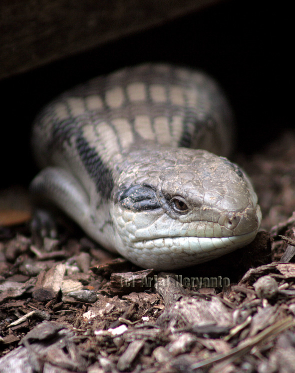 "Hello
Is it me you're looking for?"
(Lionel Richie)