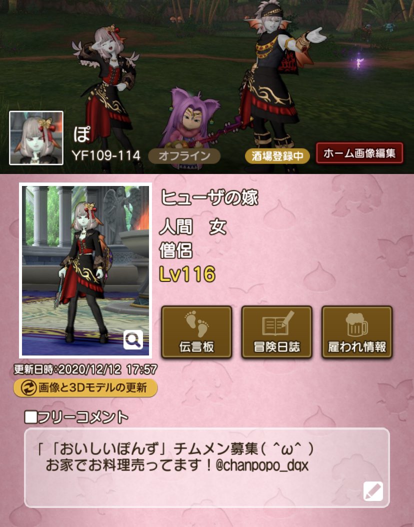 ドラクエ10チーム