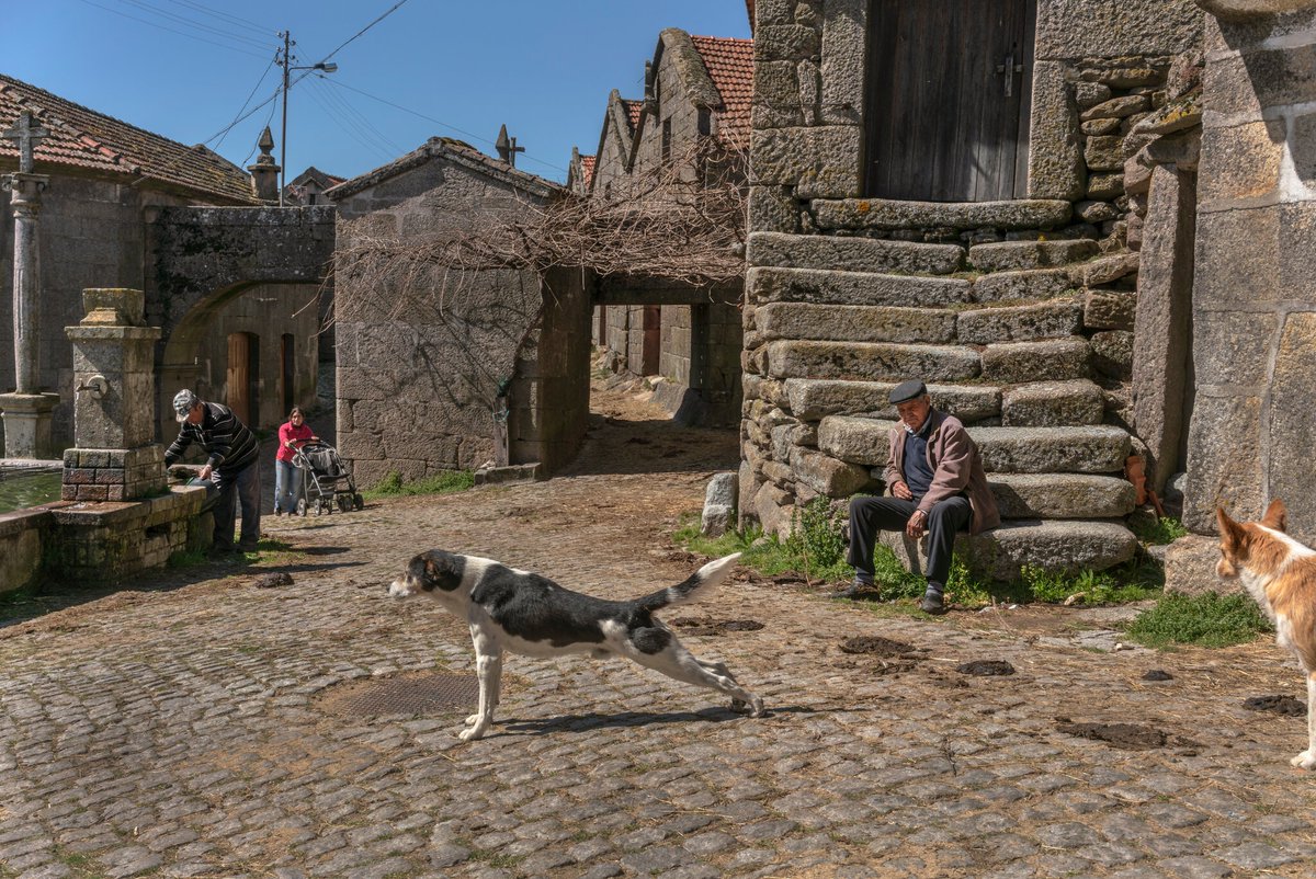 ExcellencTours's tweet photo. Brilliant article in the @nytimestravel about Portuguese rurality giving special emphasis to the traditions and social life that the pandemic tried to steal. Great job @nytimestravel 👏 https://t.co/PCgVw8imM8
#barroso #visitportugal #trasosmontes #nytimes #portuguesecountryside https://t.co/hXWTcmpjJd
