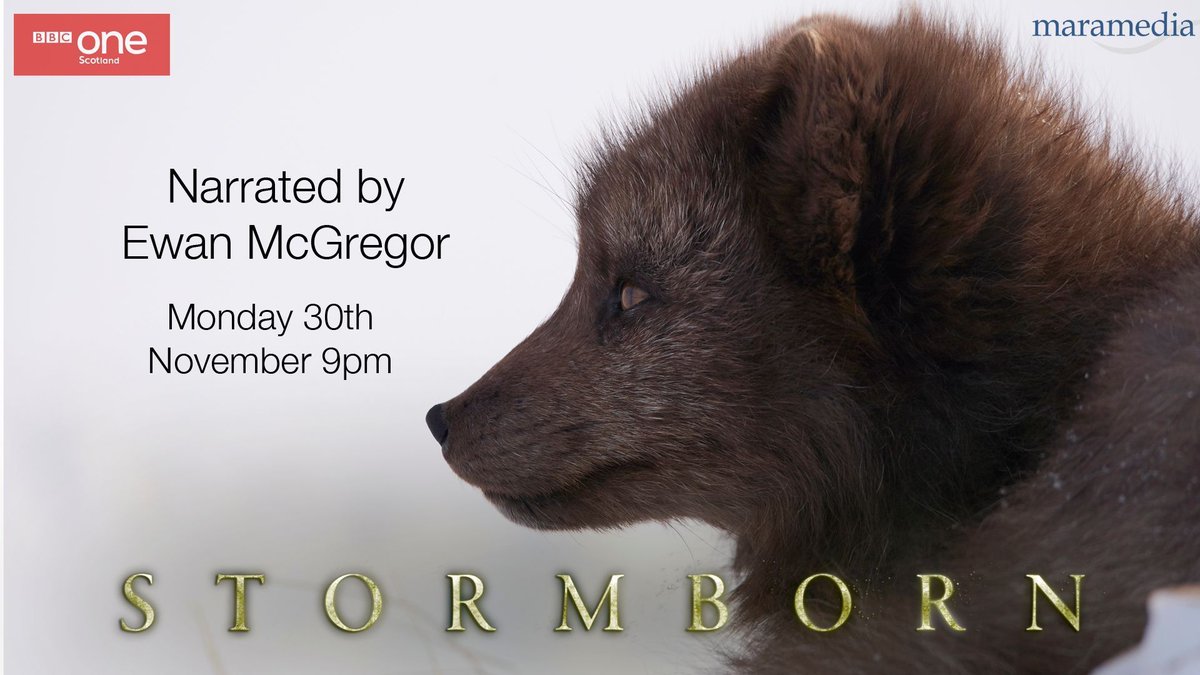 Justin Purefoy tweet media