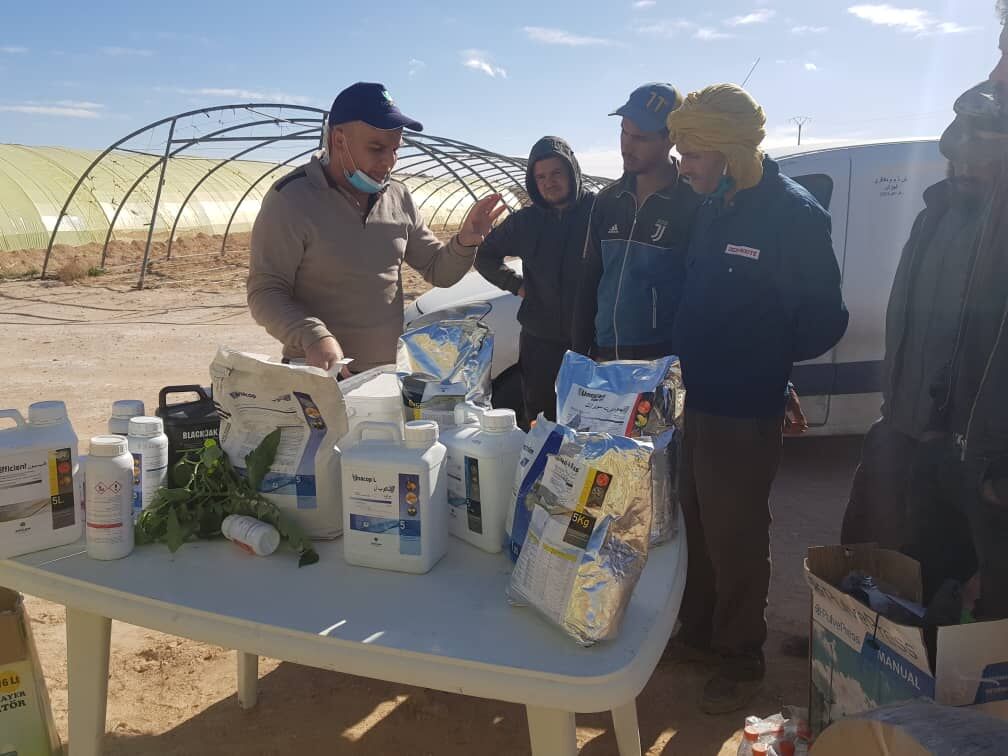 sipcam_iberia's tweet photo. 🌍 La semana pasada nuestros compañeros de #SIPCAMInagra estuvieron con el equipo técnico del distribuidor Devagri en Biskra (Argelia). Vimos la eficacia en ensayos de Blackjak aplicado en #tomate y #patata. ¡Enhorabuena por la organización, SARL Devagri! ¡Fue todo un éxito! 👏 https://t.co/TFJFUdqUuV