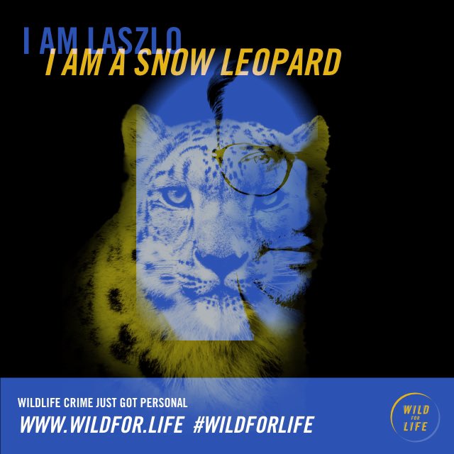 LBalatonyi's tweet photo. #CarpathianConvention (SG member of #EUSDR #Environmentalrisks #Priorityarea) would like to invite you for a virtual journey across four mountain regions, including the beautiful #Carpathians, to visit and learn about some of the endangered species that roam these wildspaces. https://t.co/GShKO11IzG