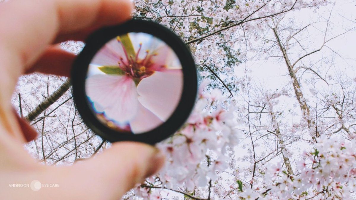 LaserVisionEyeC's tweet photo. Many of us have been told we're short-sighted by our optician, but what does this mean, and how can we fix it? 🧐

We've outlined everything you need to know about myopia here: 👉 https://t.co/yZgl42vLcG https://t.co/XDlEiUathZ