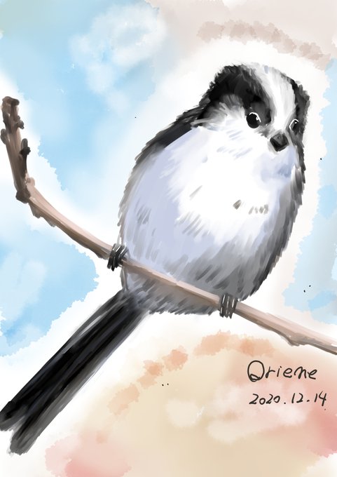 エナガのtwitterイラスト検索結果 エナガのtwitterイラスト検索結果