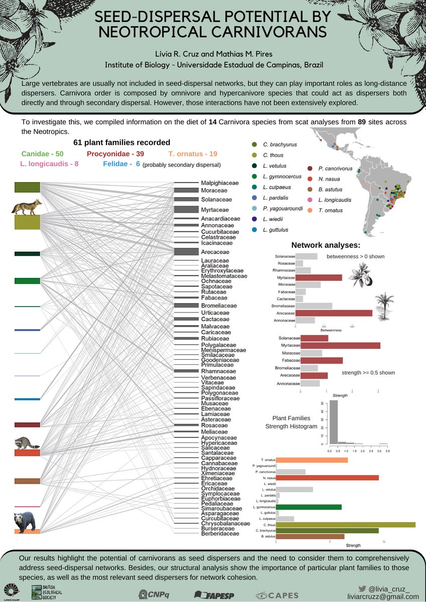 Lívia Cruz tweet media