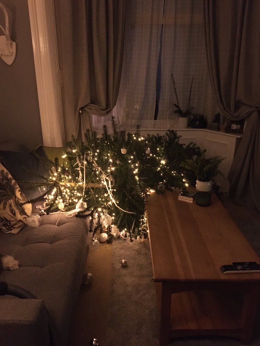 kittygriffy's tweet photo. @primaryimmuneuk It looked great before the base broke! 😂 Hey ho! Never mind!🎄😁 https://t.co/316UzoZpGJ