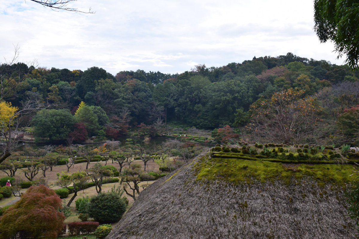 ramunephoto's tweet photo. #211
2020年11月
薬師池公園⑩ https://t.co/bo7IXnFzFG