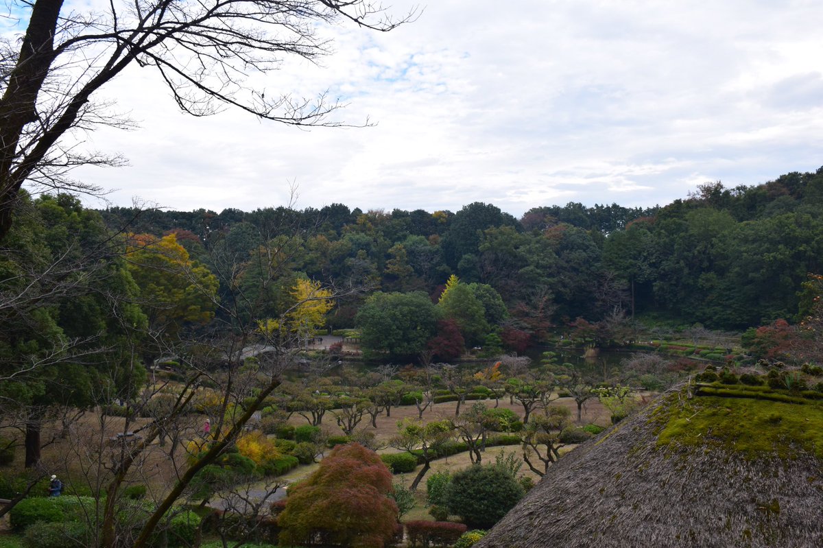 ramunephoto's tweet photo. #211
2020年11月
薬師池公園⑩ https://t.co/bo7IXnFzFG