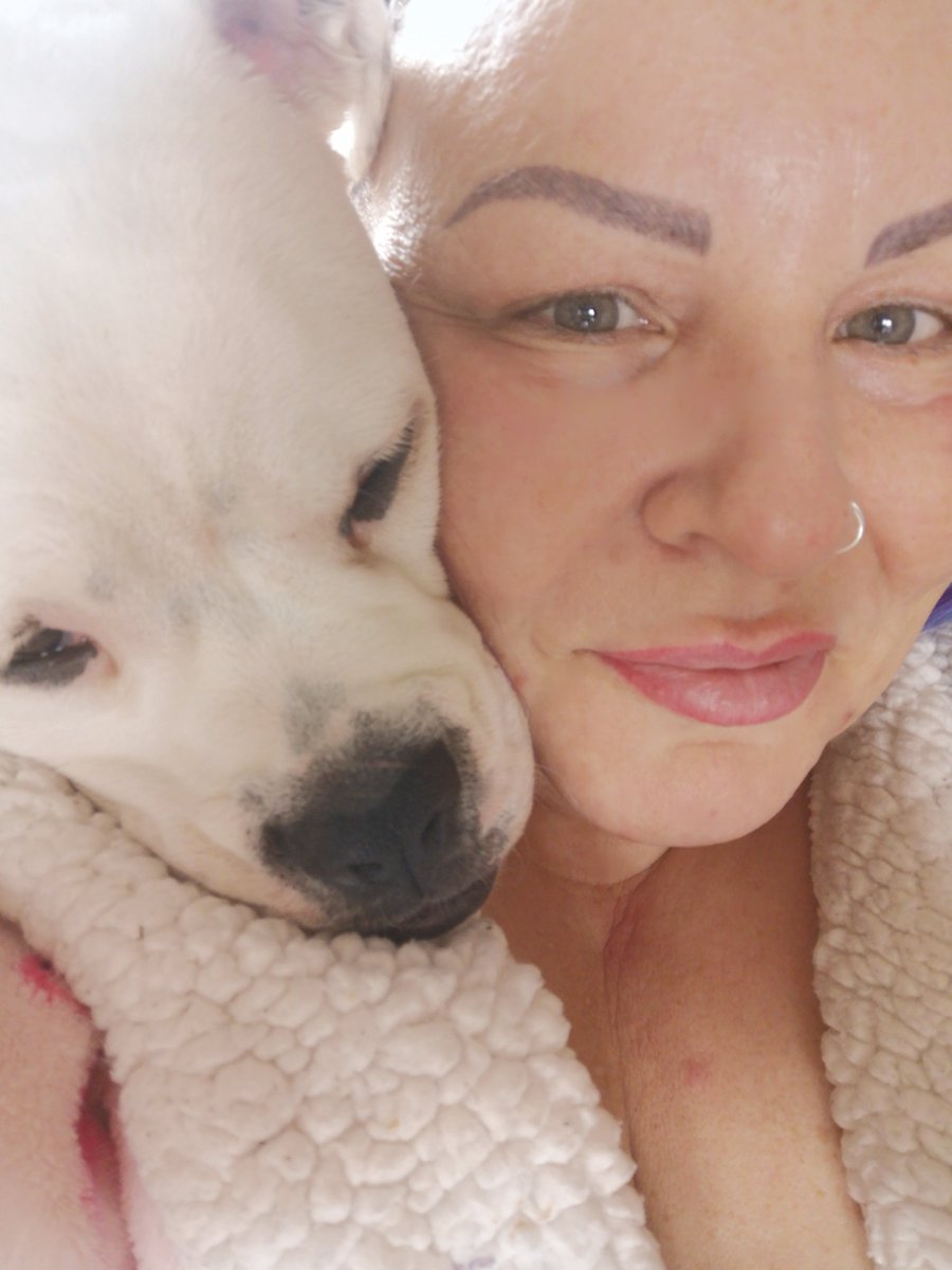 JayRyan87130608's tweet photo. Love is unconditional ❤️
#puppylove #phoebe #acceptance #selfworth #love #unconditional https://t.co/VOdb60YOCg