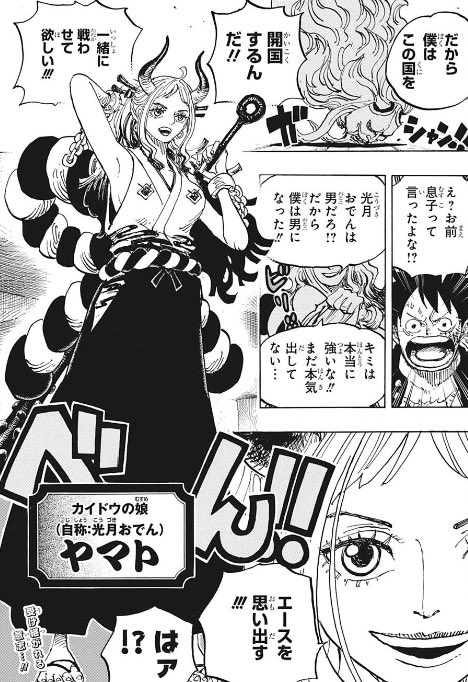 Takomin Osp Elysium カイドウ 青龍 ヤマト 白虎 って 感じになるかな したら 朱雀 玄武でる 新鬼ヶ島計画で花の都に移動って方向は東 ってなったら四方神象なるよね ワンピース