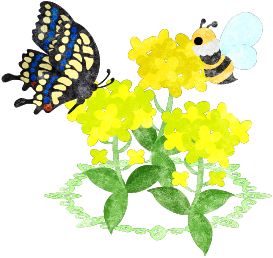 菜の花のtwitterイラスト検索結果 古い順