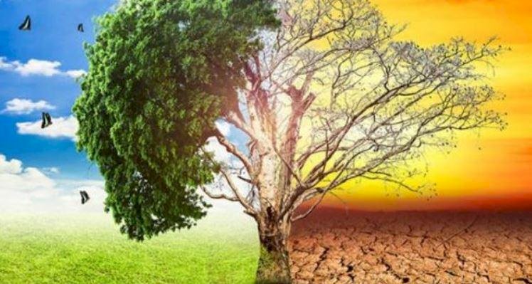 Gittikçe artan şekilde sonuçlarını gördüğümüz küresel iklim değişikliği için herkes üzerine düşeni yapmak zorunda. Daha güzel bir gelecek için dünyamızı korumak zorundayız.