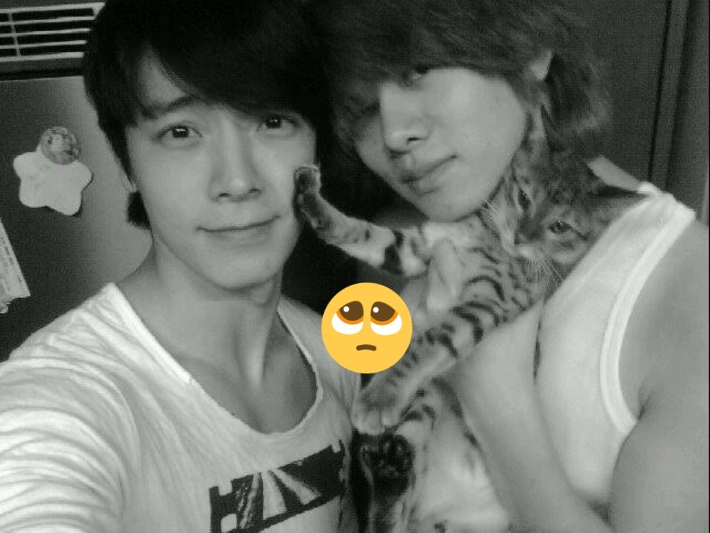 TJ79_EunSiHae's tweet photo. WoWπ ELFbi Really Dug Out 10yrs π―π±CatFight Evidence!! π―DAEBAKπ
Is this really #HaeChul Post-Fight Selfie?π₯Ί
#SUPERJUNIOR shd make a manga out of all their legendary fights!π€£π€ͺ
TQ #BabyHae tearsπ₯² keeping @SJofficial togetherπββοΈ
#SUPERJUNIOR_TheRenaissance
#TheRenaissance https://t.co/XFk5DQ8aA0