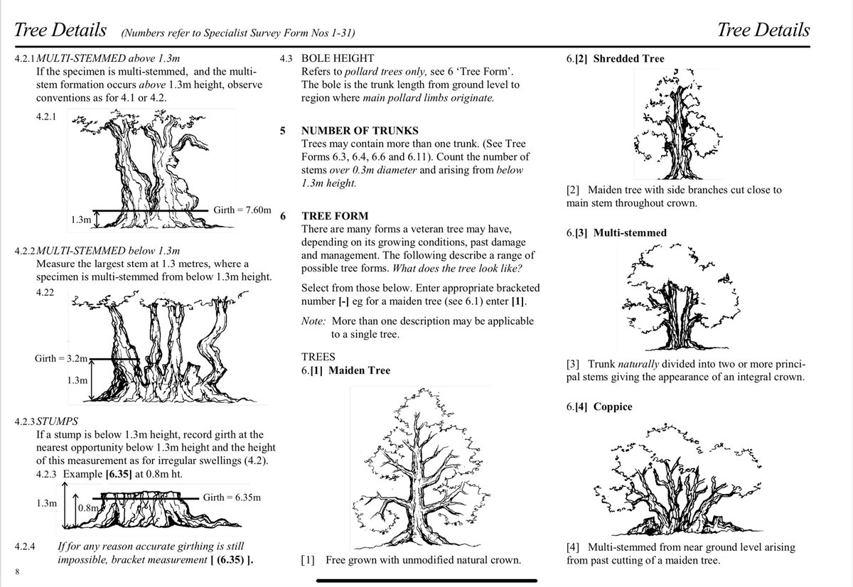 Safernoc934's tweet photo. This methodology https://t.co/Hk2G801aV6 is a great resource and is published on the ATF website (had been hitherto digitally lost). And Nev’s sketches are really lovely. https://t.co/ct4ULOYTAw