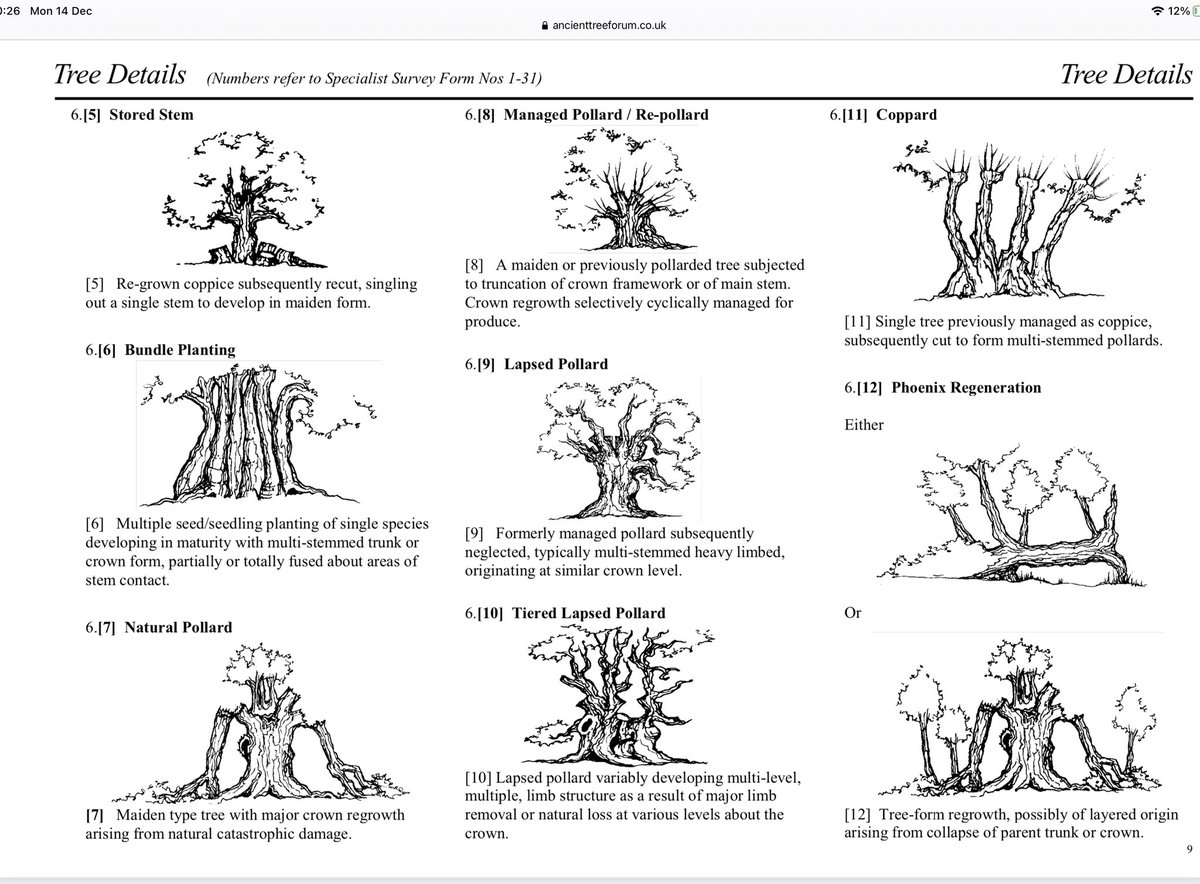 Safernoc934's tweet photo. This methodology https://t.co/Hk2G801aV6 is a great resource and is published on the ATF website (had been hitherto digitally lost). And Nev’s sketches are really lovely. https://t.co/ct4ULOYTAw
