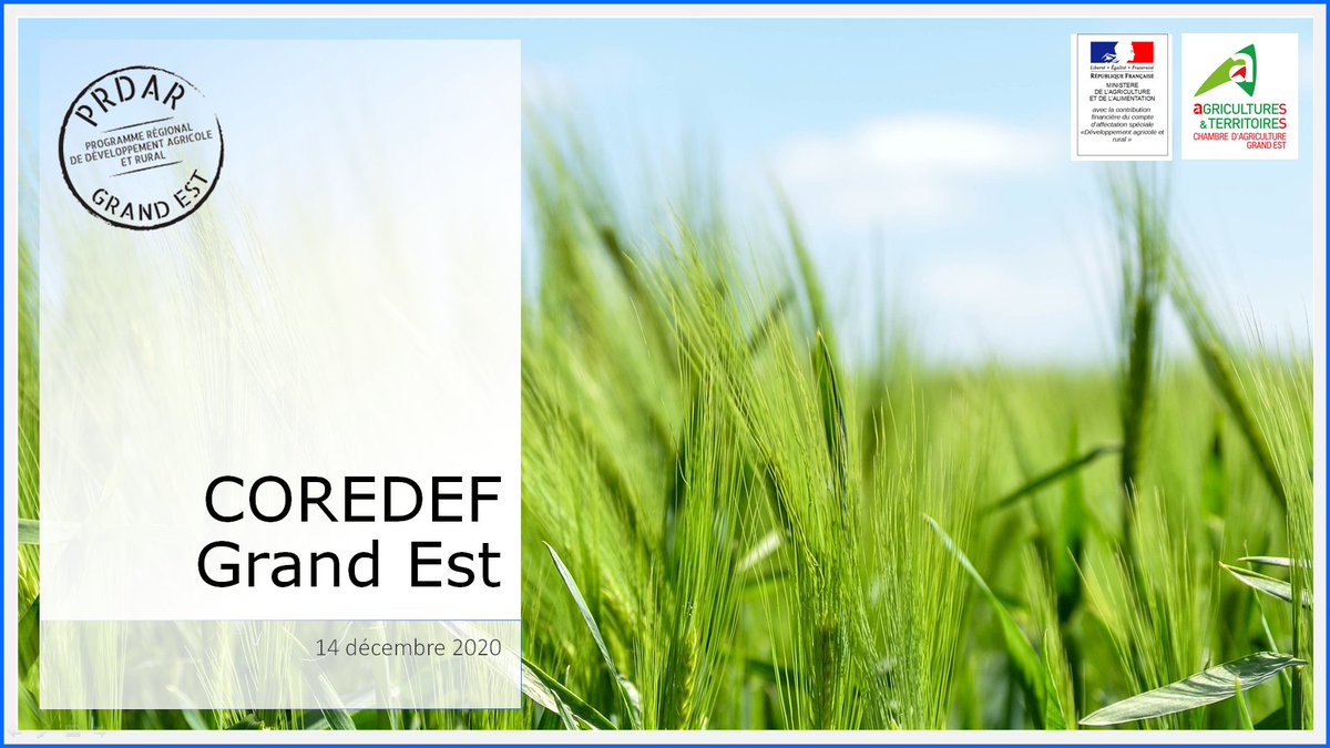 cra_grandest's tweet photo. Ce matin, visio du COREDEF Grand Est animé par la @cragrandest, avec les acteurs agricoles de la région.
📌Au programme : bilan et perspectives de la dynamique R&D régionale, partage de projets de R&D dont le #PRDAR et focus sur les collectifs d'agriculteurs #GIEE #groupe30000 https://t.co/DJFbpURNXK