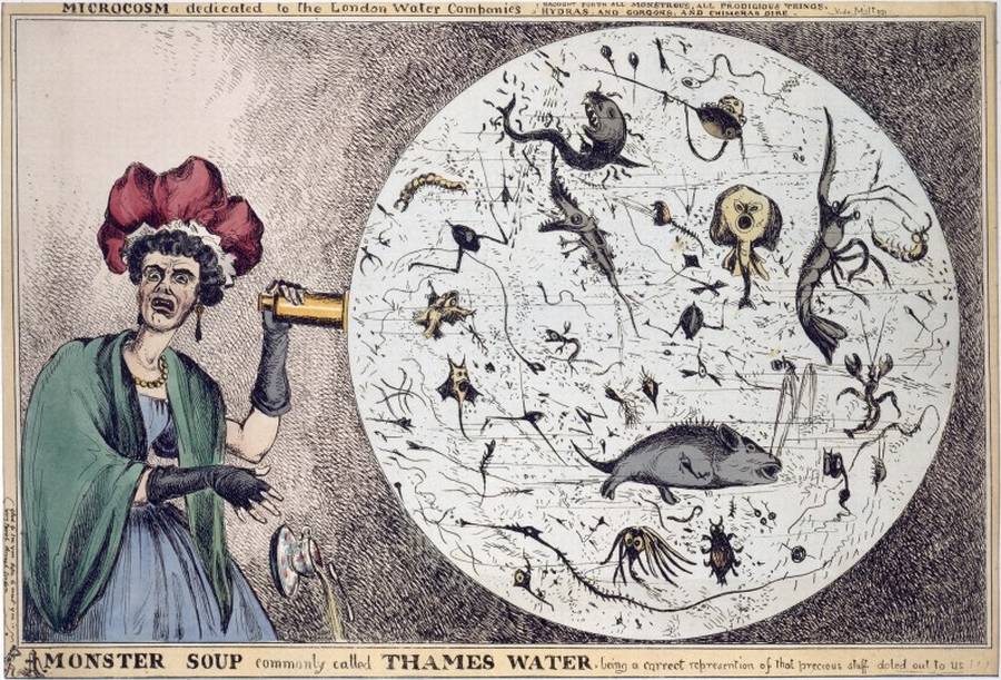 2/ In August 1854, Soho in London was struck with a severe cholera outbreak. Cholera is a gastrointestinal infection caused by the bacterium Vibrio cholerae. It is still prevalent in areas with inadequate sanitation and poor food and water hygiene