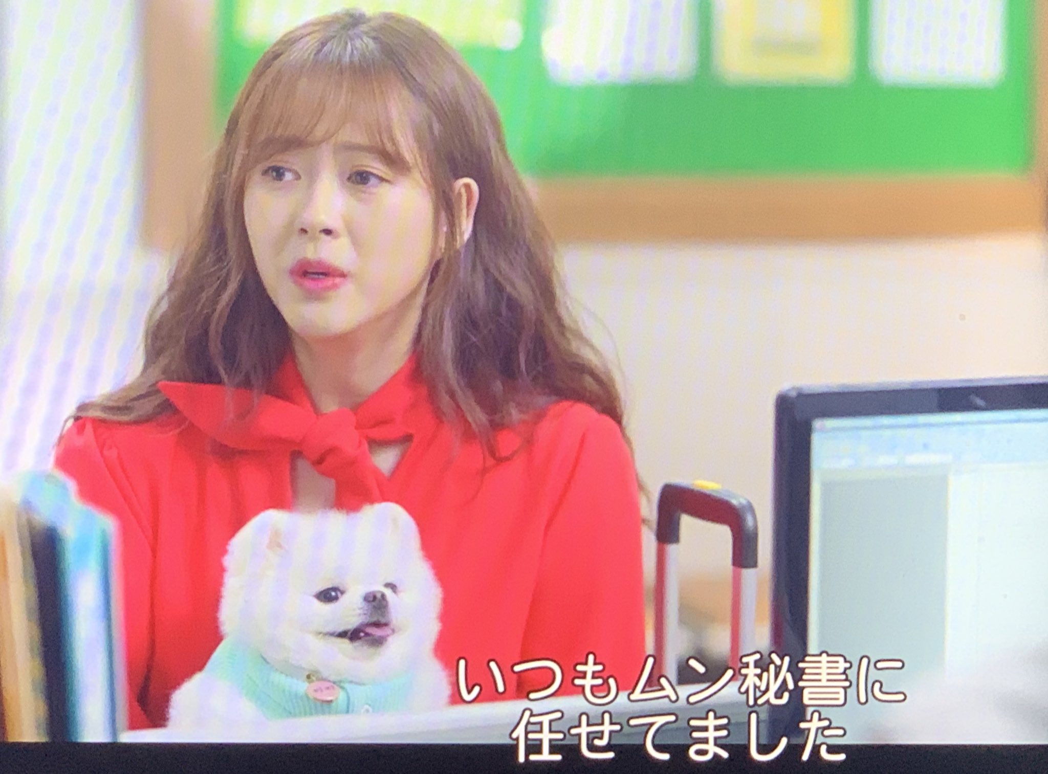 愚鈍 フォロワーさんから教えていただいた Netflixで配信されている ドドソソララソ めちゃめちゃにかわいい白ポメのミミちゃんが頻繁に出てきて肝心の話が頭に入らない