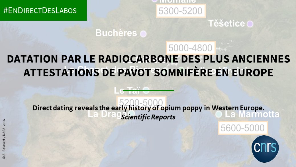 CNRS Écologie & Environnement tweet media